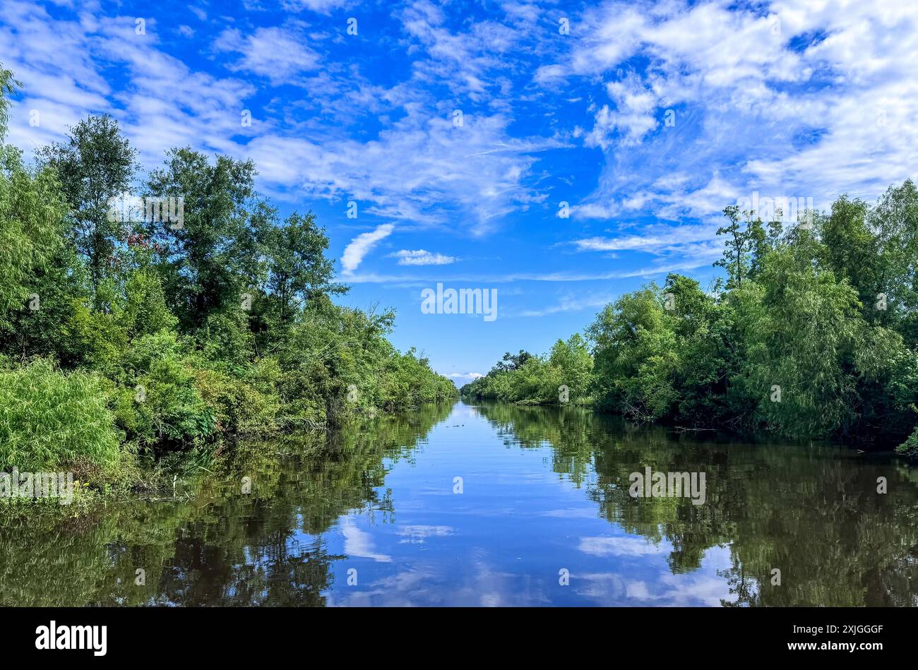 Swamp boat louisiana hi-res stock photography and images - Alamy
