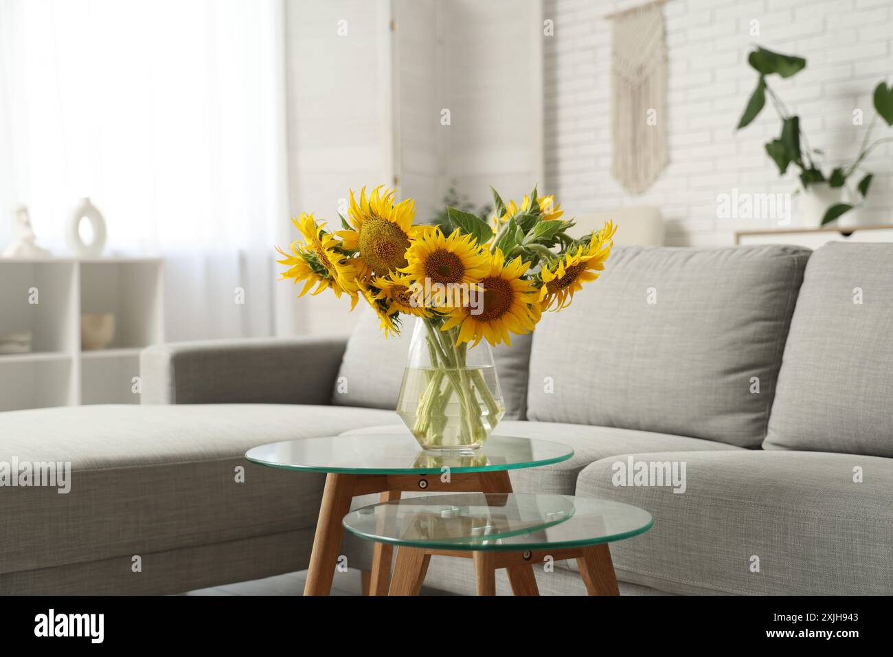 Cozy sofa and vase with sunflowers on coffee table in living room Stock ...