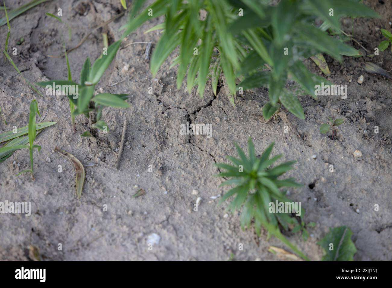 Riss im boden hi-res stock photography and images - Alamy