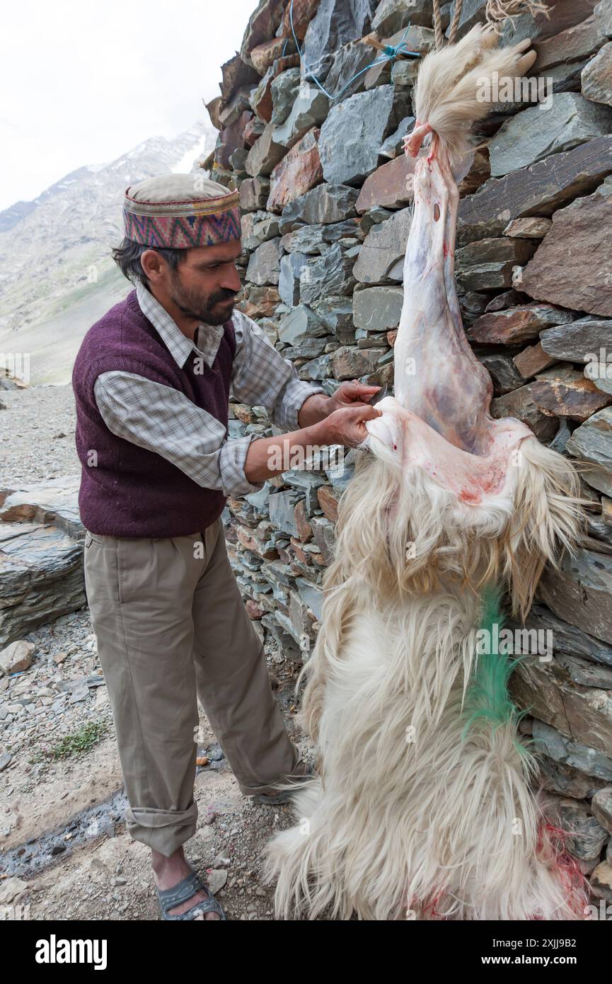 Man skinning a slaughtered animal behind a stone house in the Himalayas, India Stock Photo