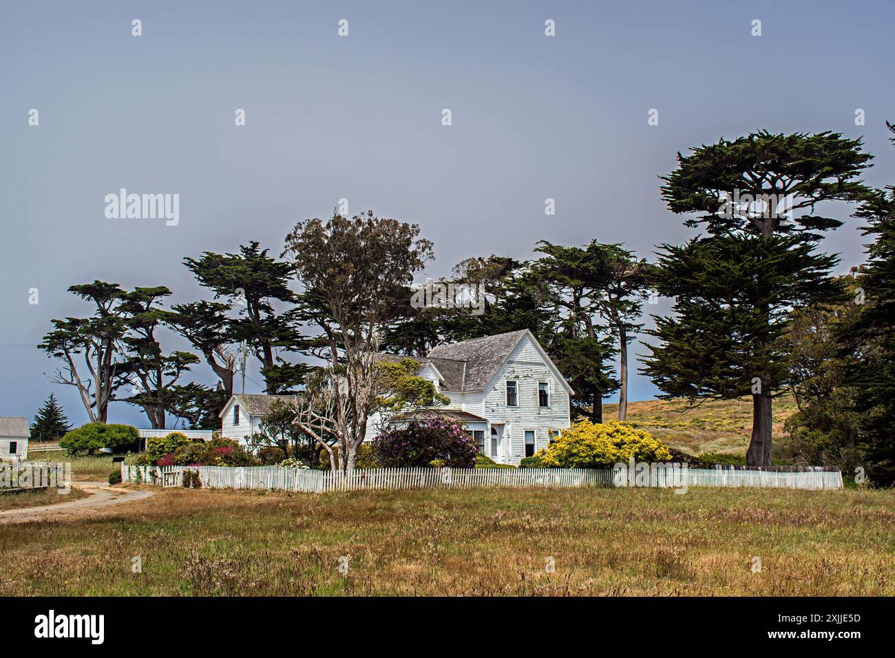 Pierce point ranch point reyes hi-res stock photography and images - Alamy