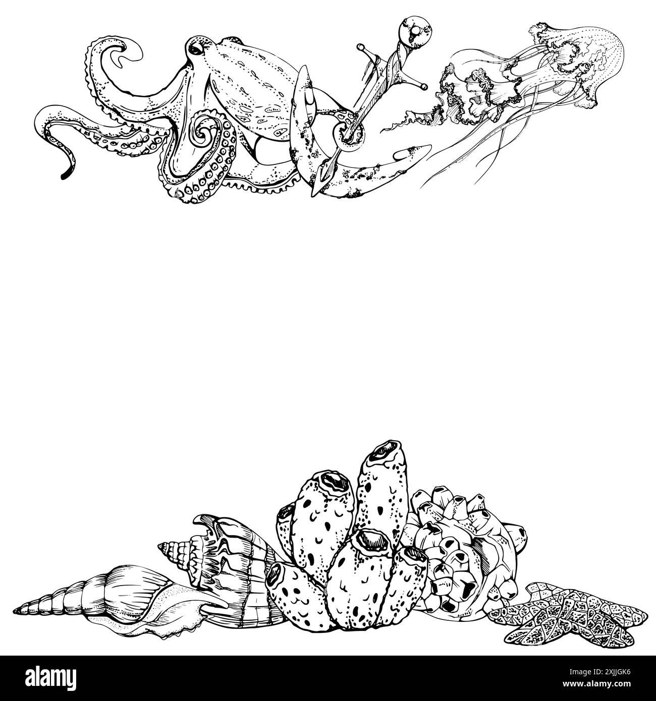 Watercolor and ink hand drawn marine life, sea ocean underwater creatures. fish, shells algae seaweed. Border frame illustration, stylized, isolated Stock Vector