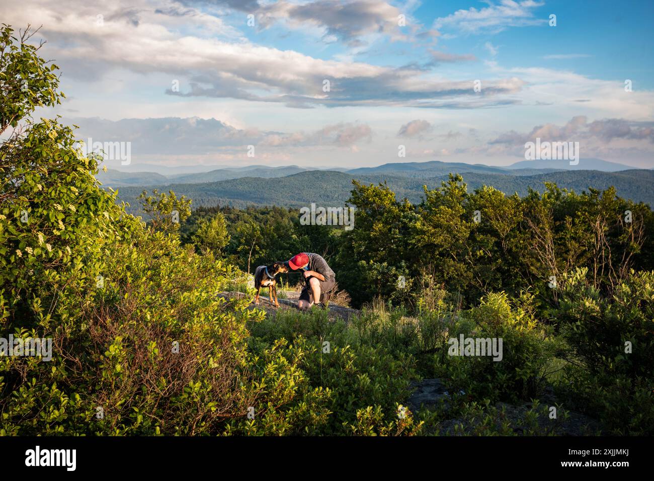John pitcher hi-res stock photography and images - Alamy
