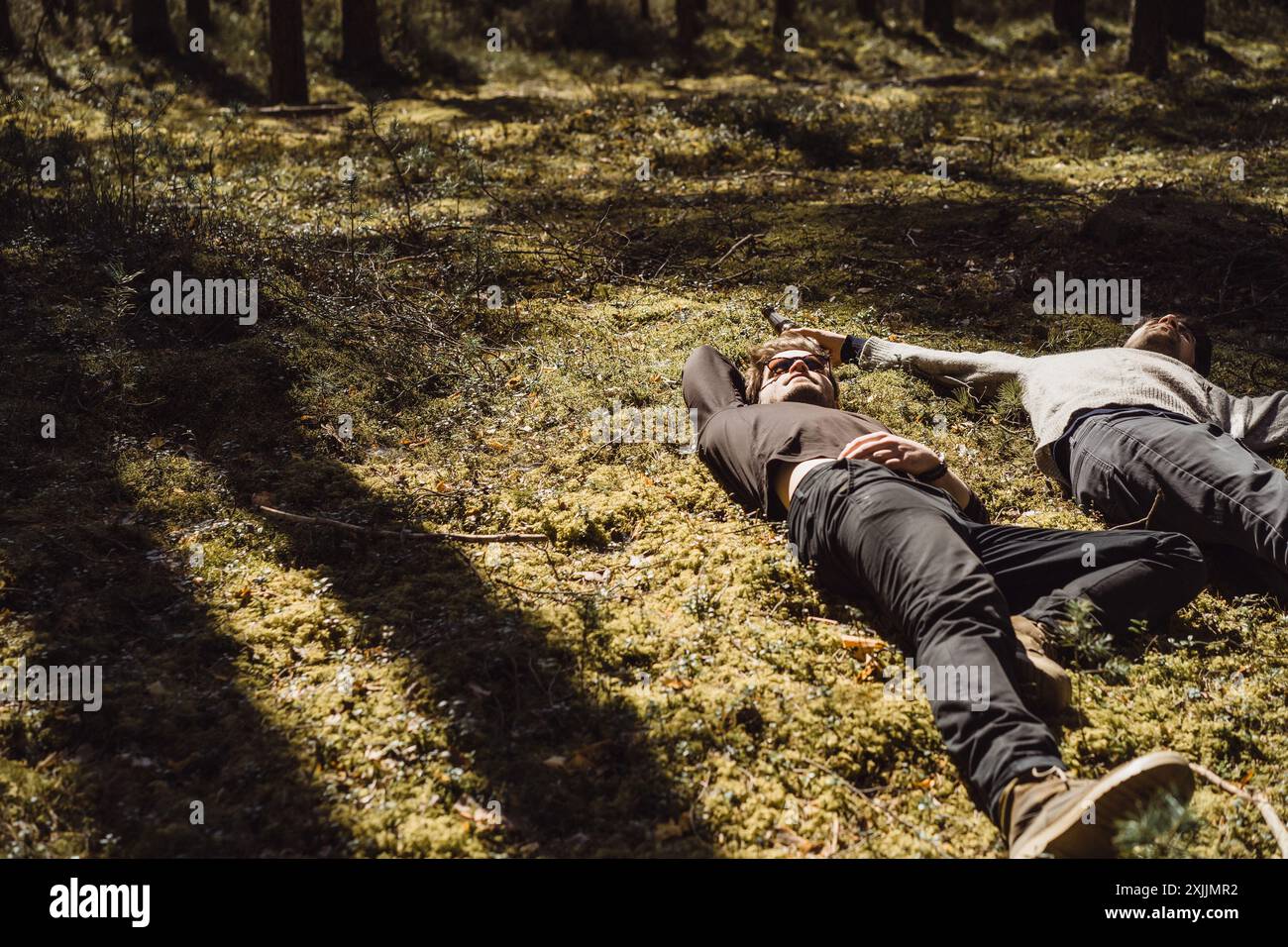 Company of friends spends time outdoors, in the forest. Stock Photo