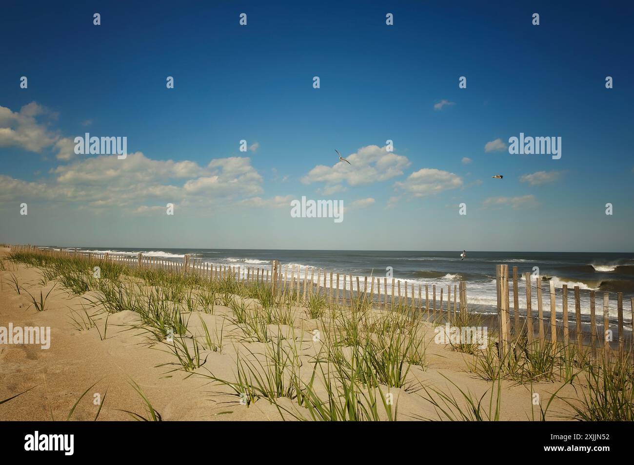 Roanoke island beach hi-res stock photography and images - Alamy