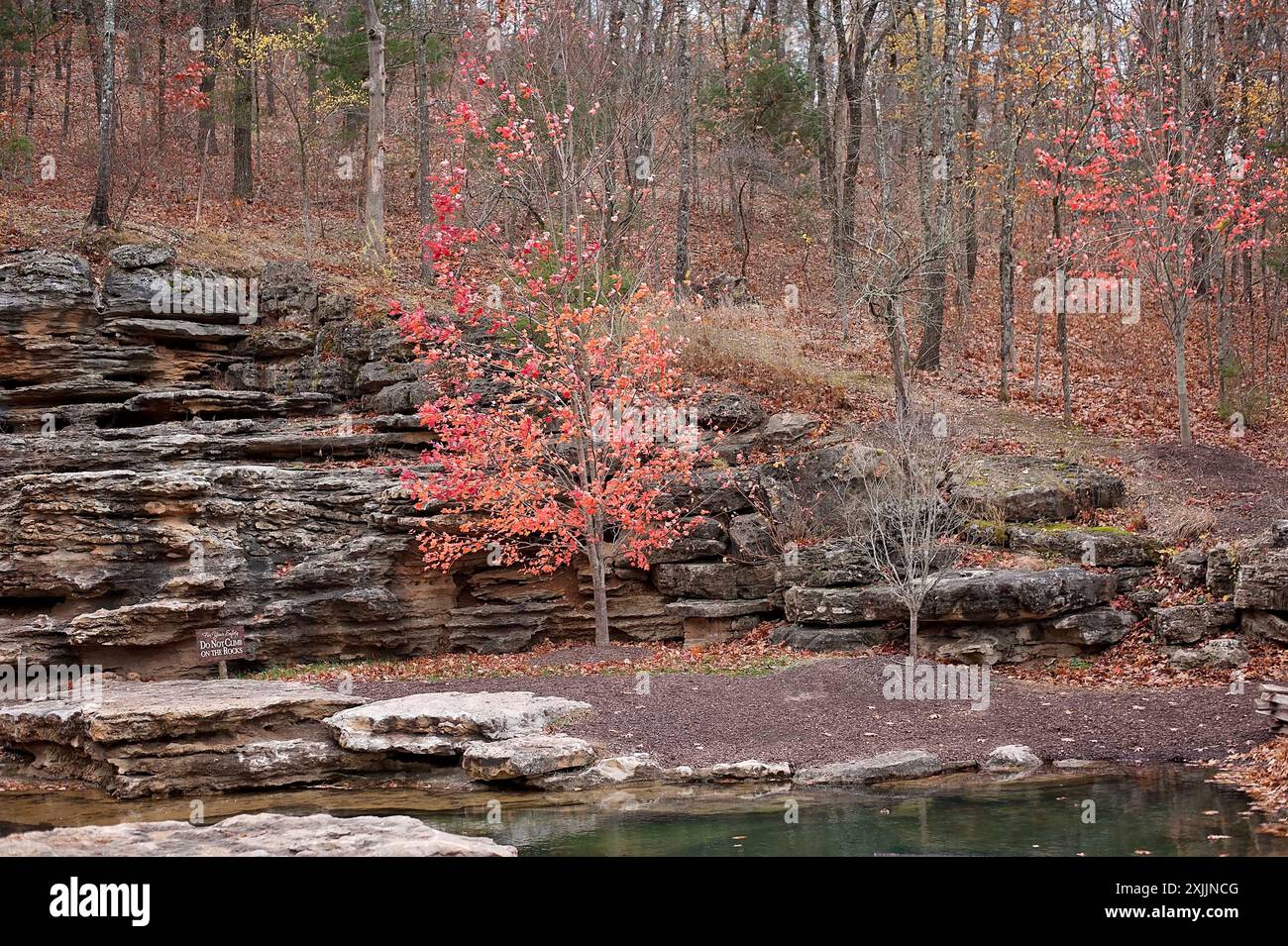Autumn foliage with red and orange trees by a rocky stream Stock Photo ...