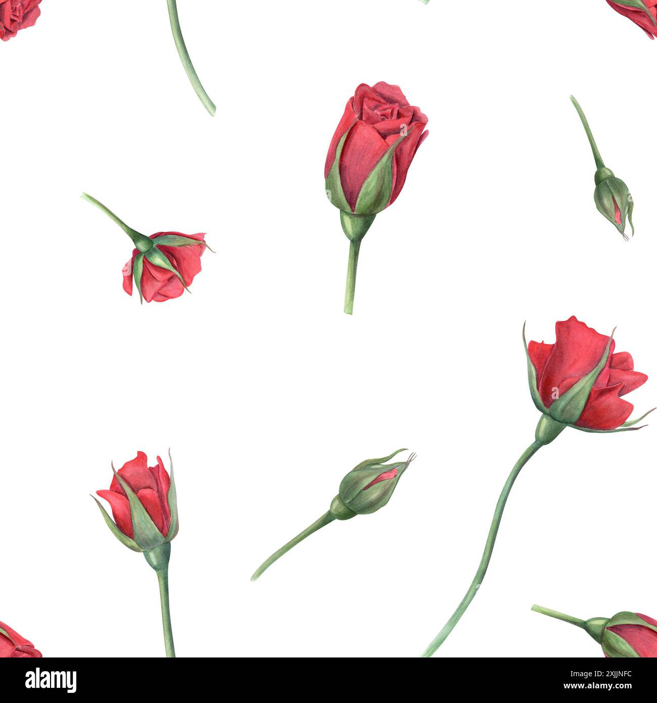 Seamless pattern red rose hi-res stock photography and images - Alamy