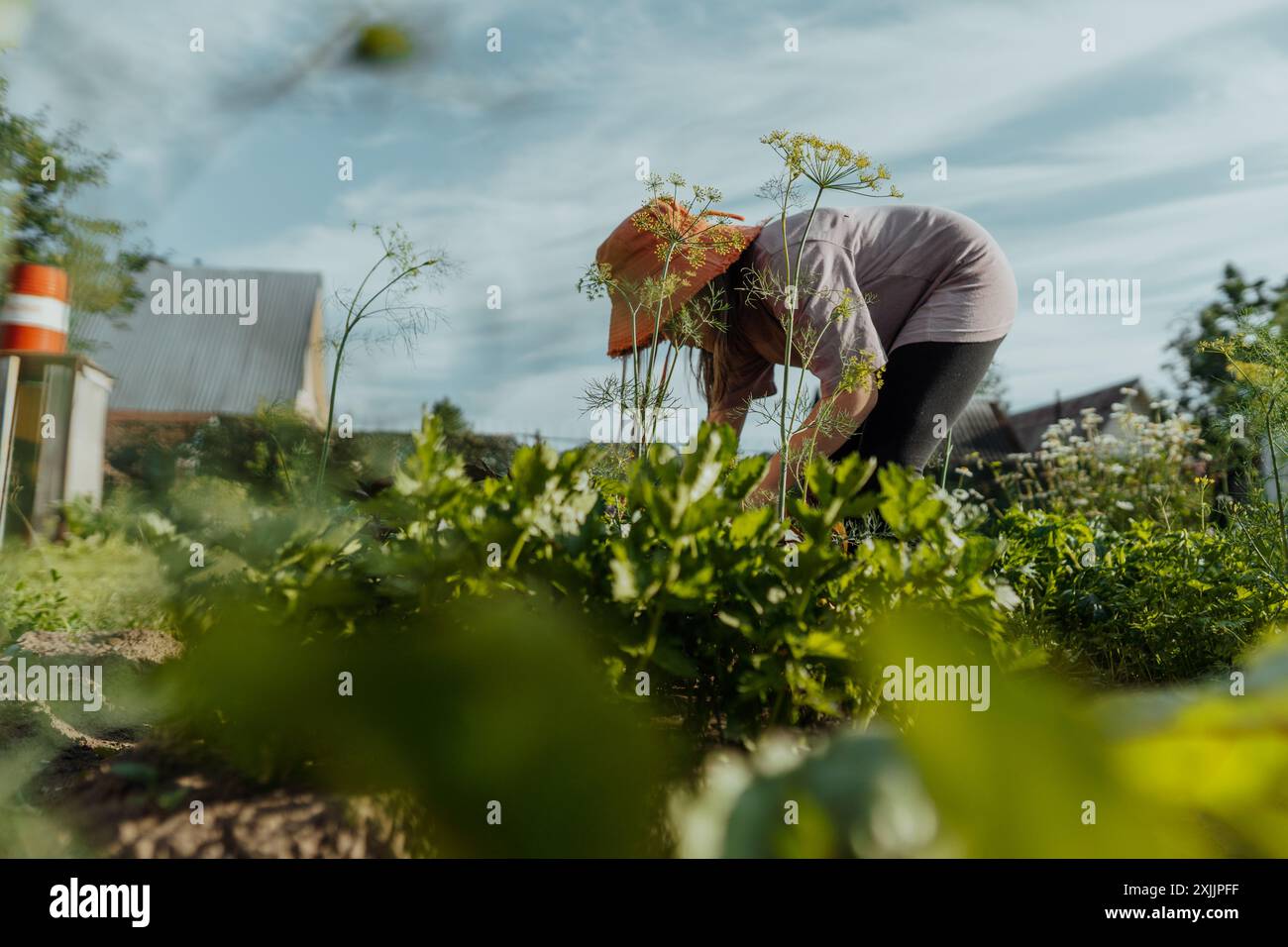 Smiling girl nurturing plants with yellow watering can in garden Stock ...