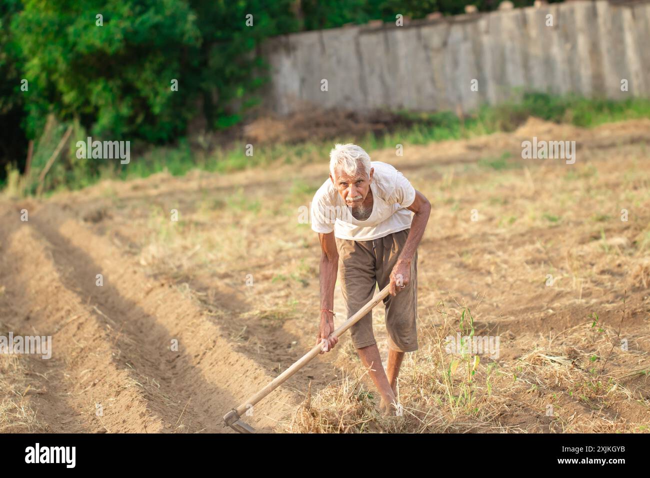Old man working hard hi-res stock photography and images - Alamy