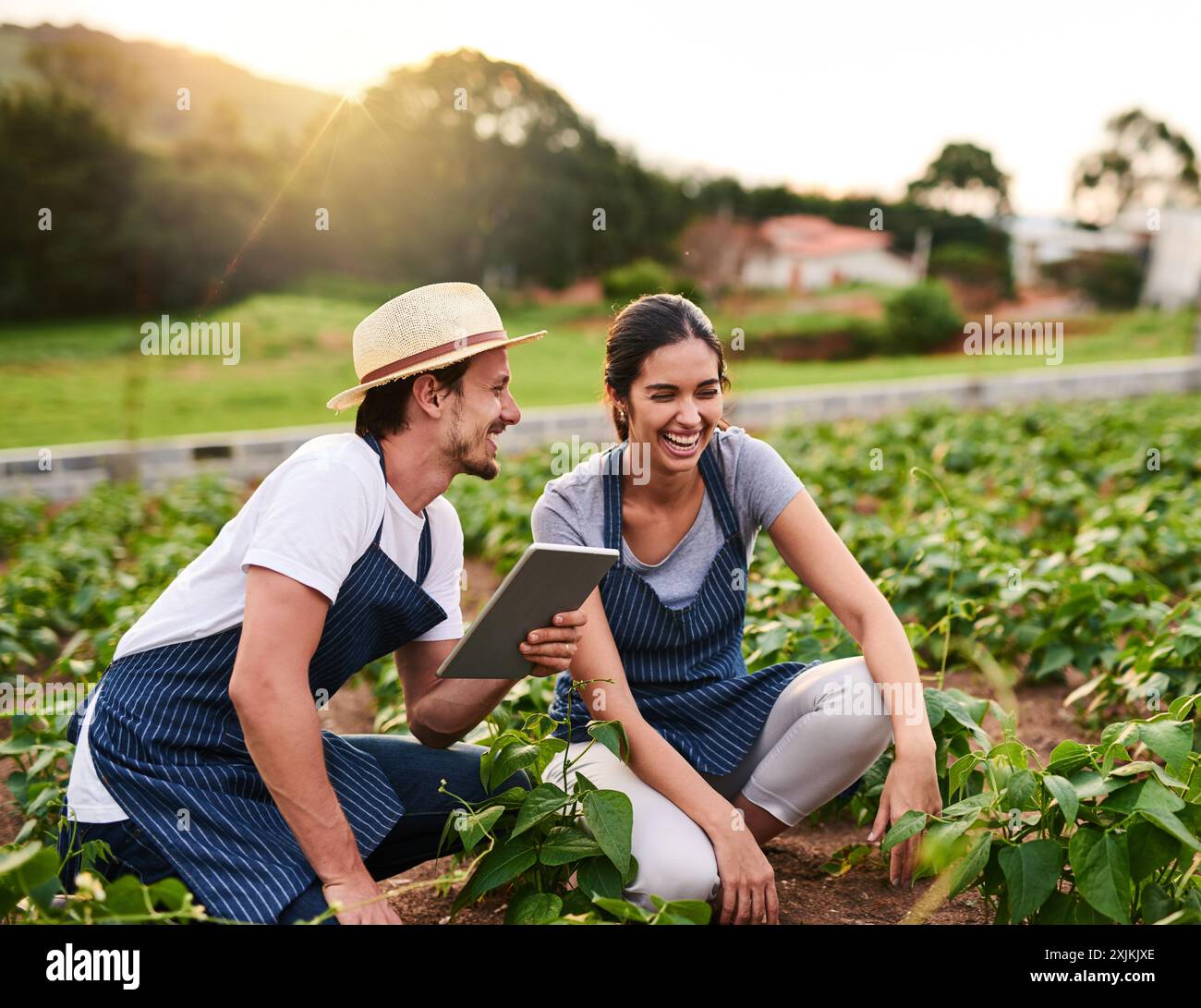 Happy, couple and farming outdoor, tablet and love for sustainability ...