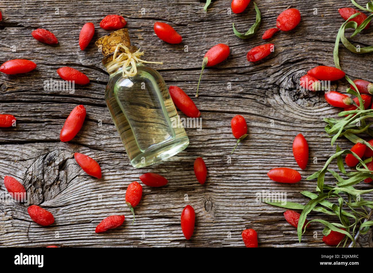 Glass bottle of goji berry oil with fresh goji berries, Lycium barbarum Stock Photo