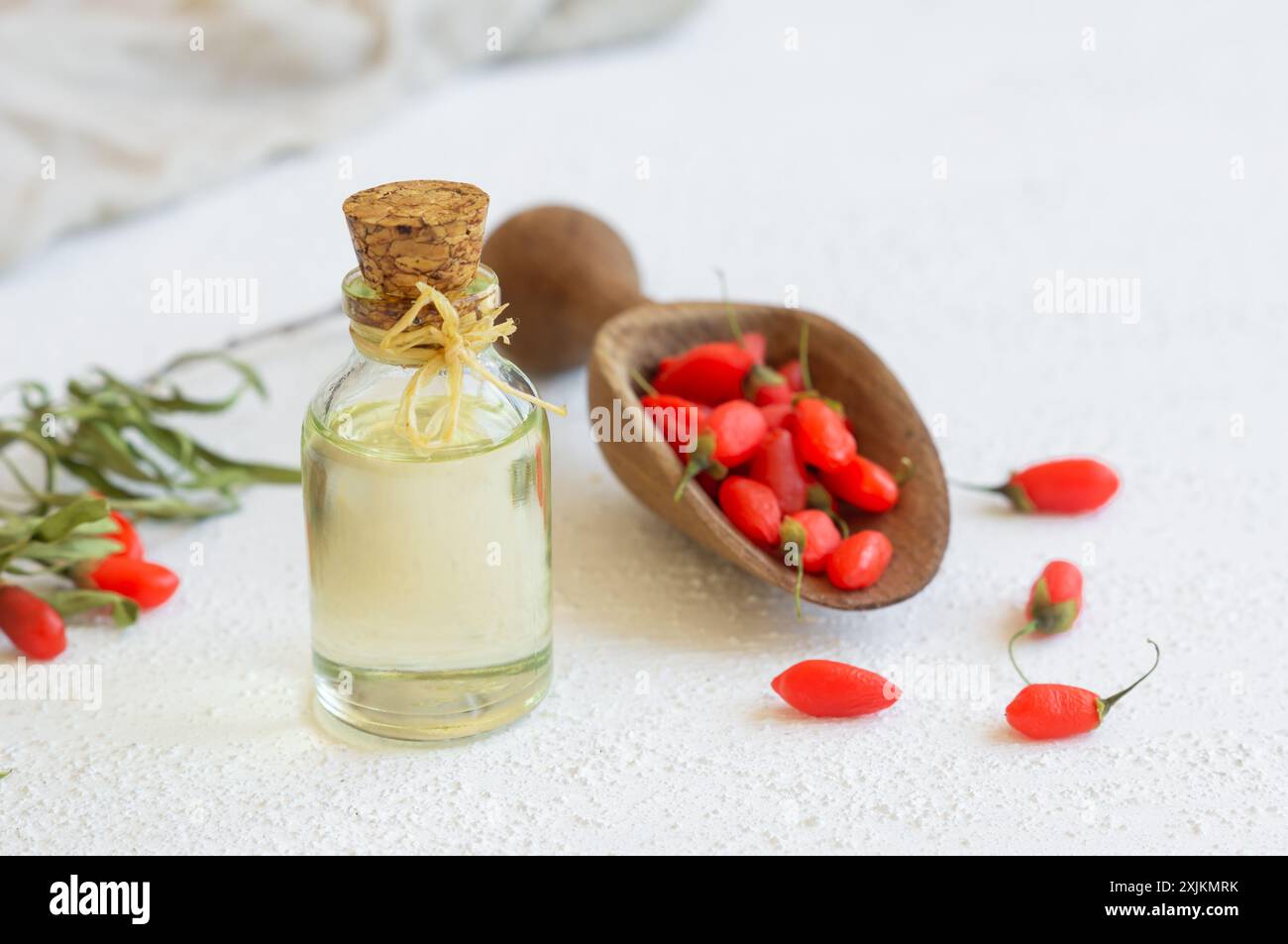 Glass bottle of goji berry oil with fresh goji berries, Lycium barbarum Stock Photo