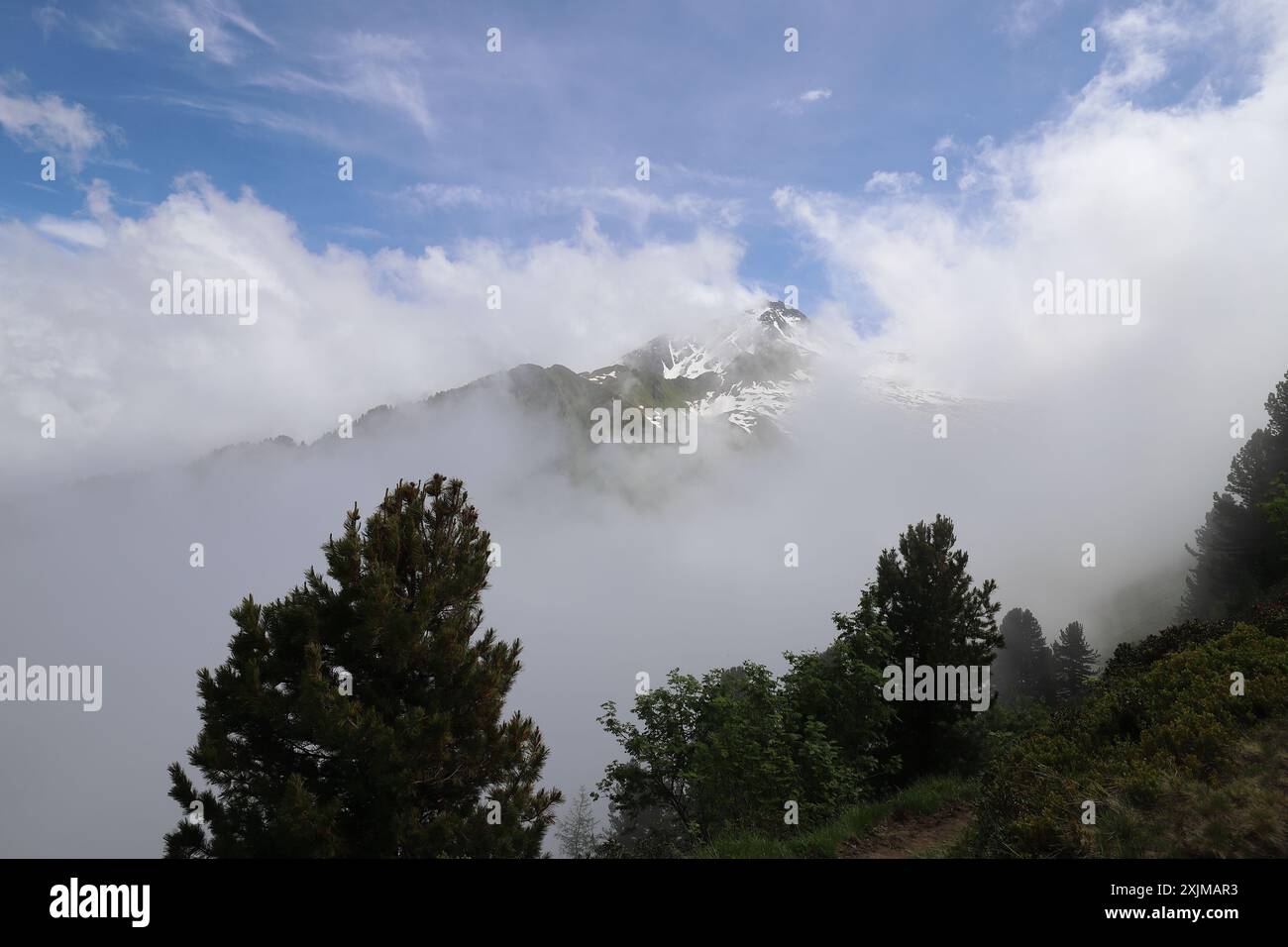 Wide-angle shot of rising veils of fog behind dark green conifers, between which the view of a high alpine mountain peak is revealed Stock Photo