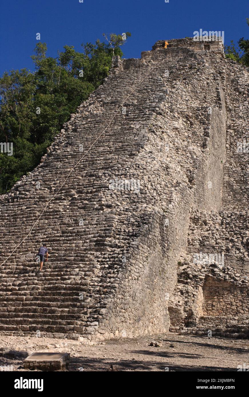 Mexico, Quintana, Roo. Coba Mayan Ruins. Nohoch Mul - the tallest ...