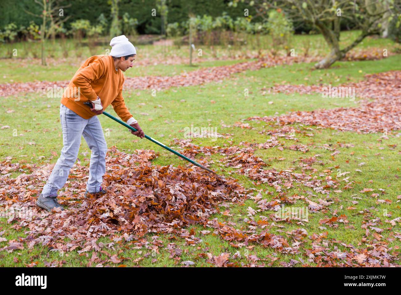 Asian woman raking leaves hi-res stock photography and images - Alamy
