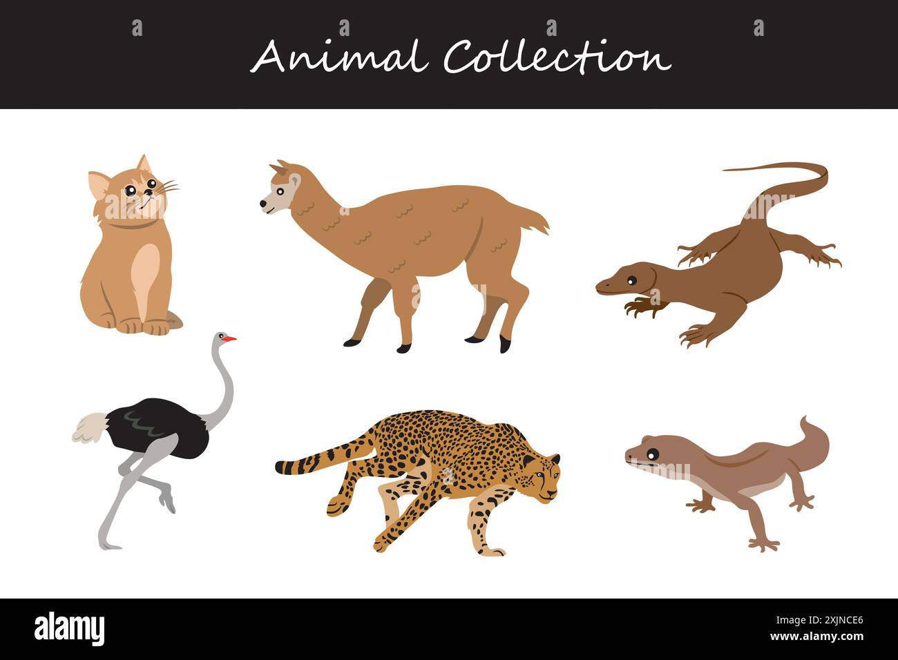 Animals collection. Flat style vector illustration Stock Vector Image ...