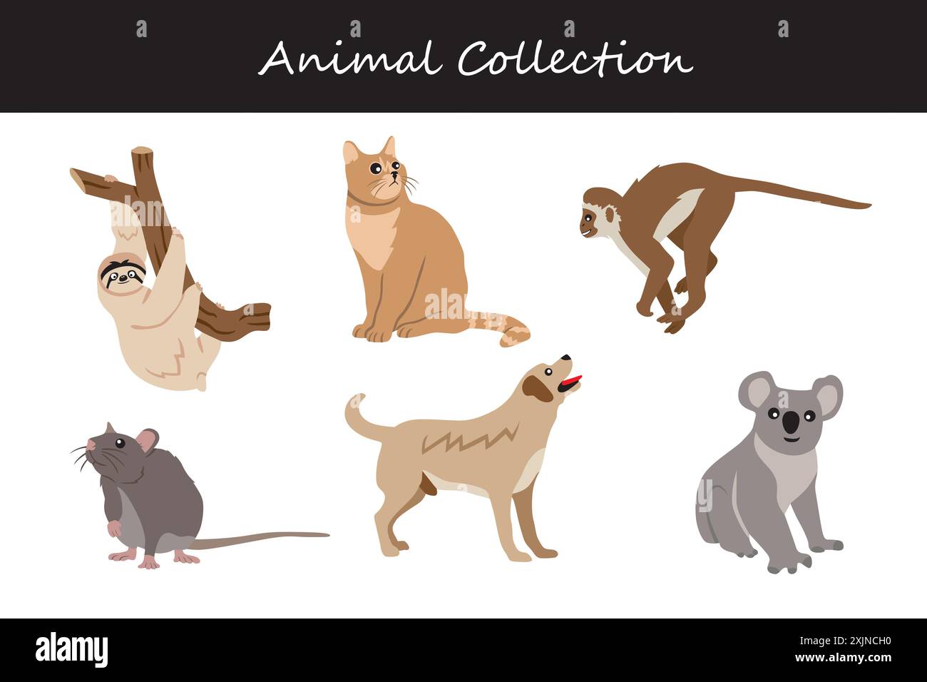 Animals collection. Flat style vector illustration Stock Vector Image ...