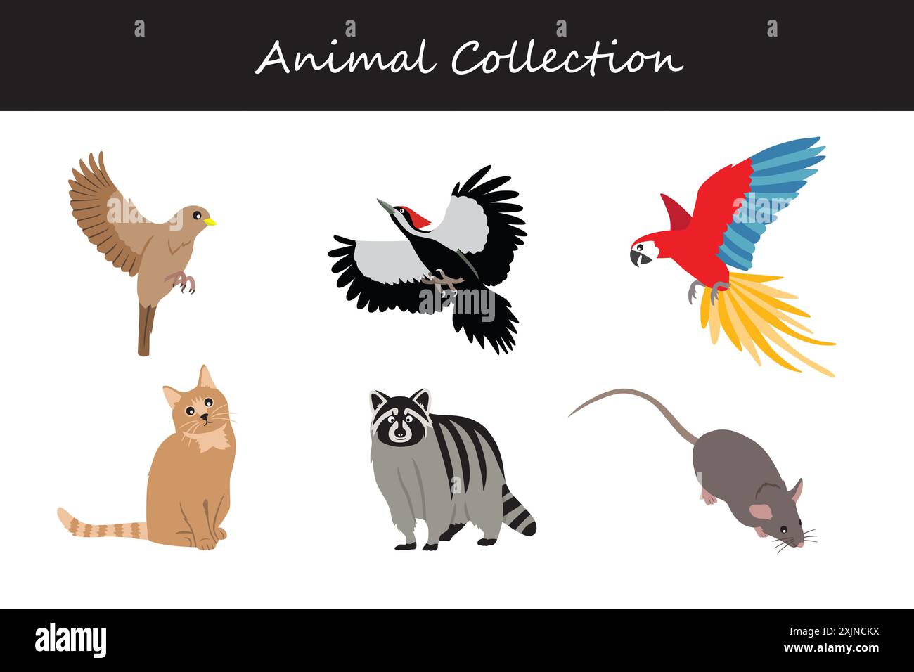Animals collection. Flat style vector illustration Stock Vector Image ...