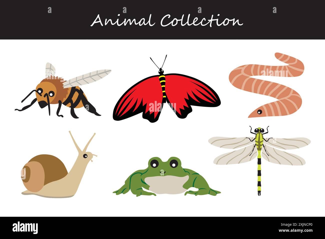 Animals collection. Flat style vector illustration Stock Vector Image ...