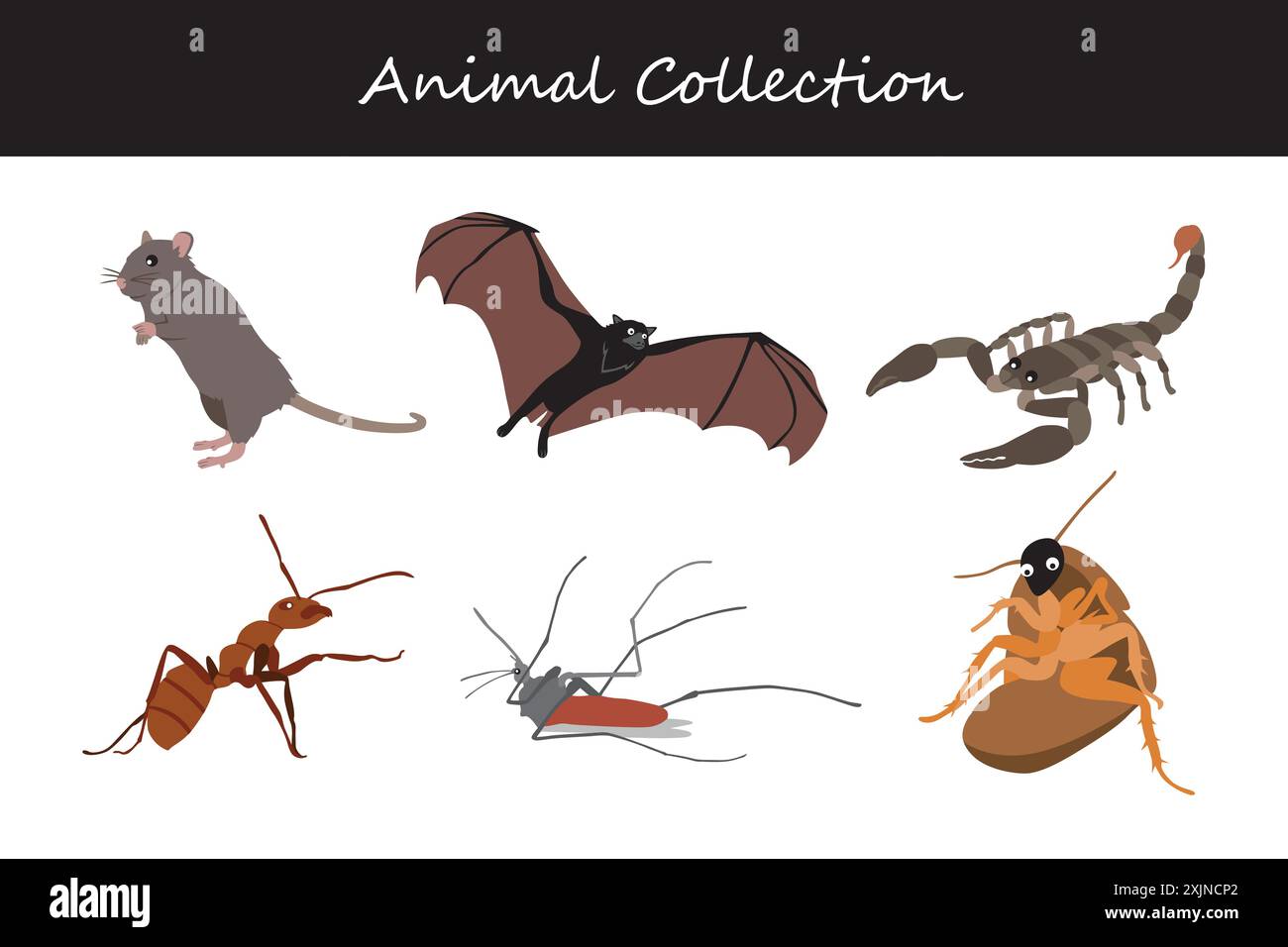Animals collection. Flat style vector illustration Stock Vector Image ...