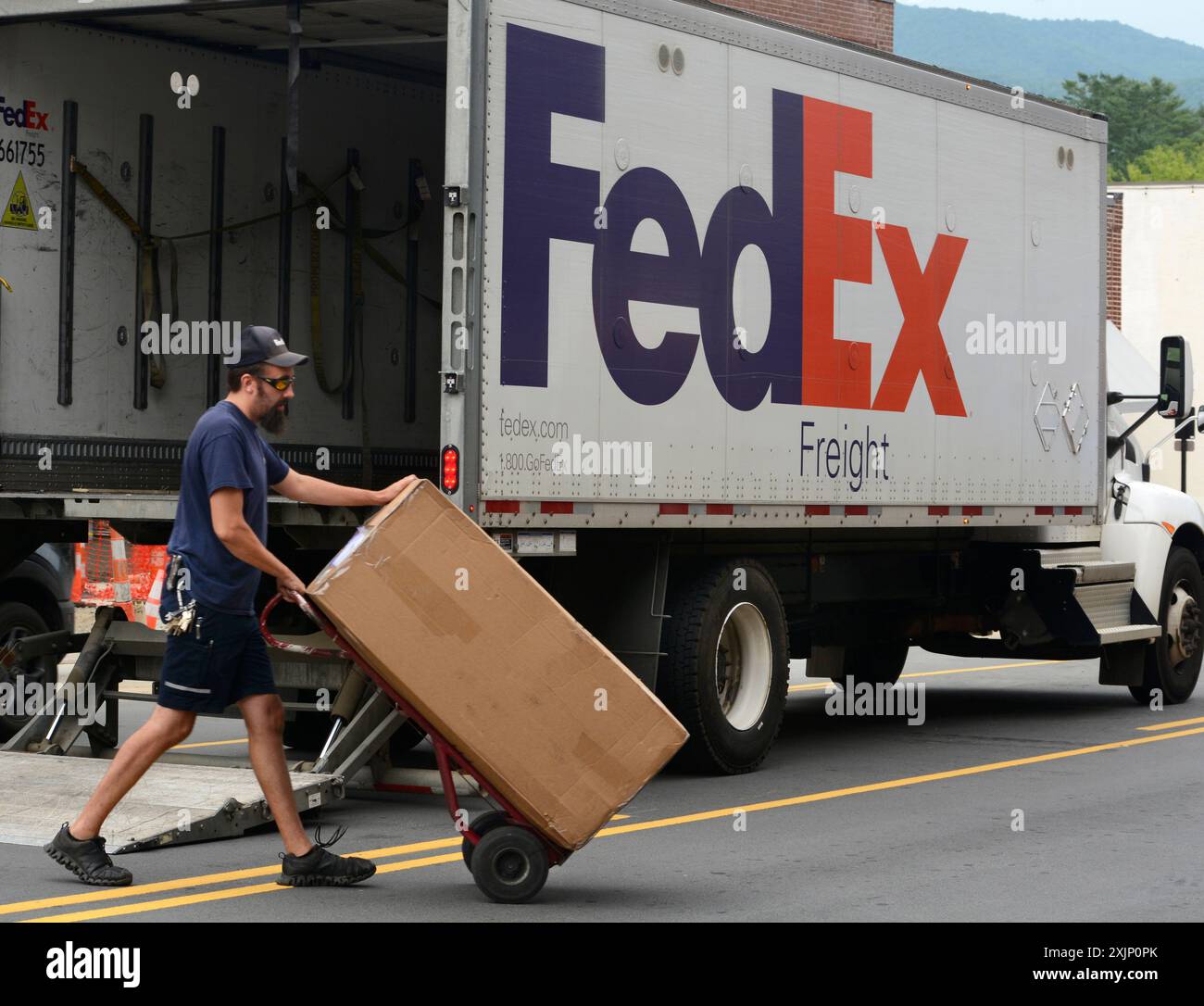 USA運輸会社FedEx FedEx-IP-Express-Service-Fast-