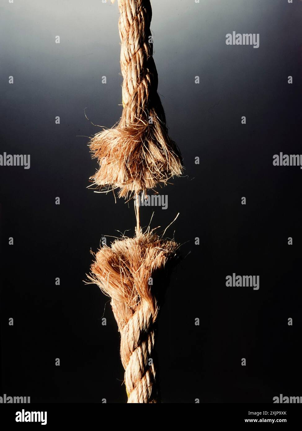 A close-up image of a frayed rope hanging against a dark background. Stock Photo