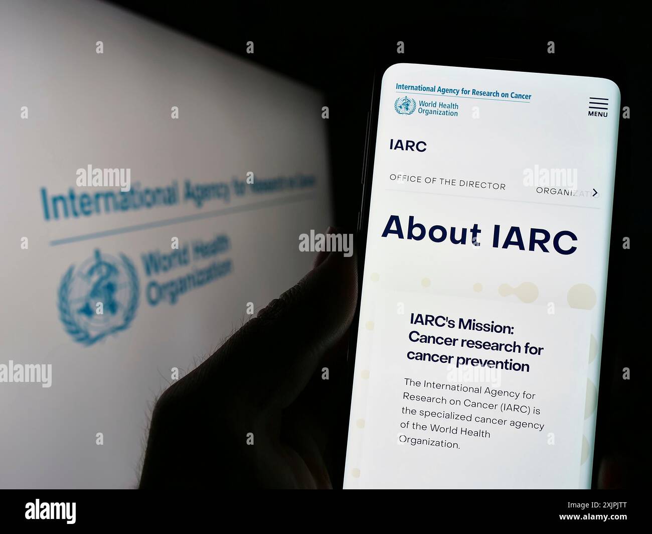 Stuttgart, Germany, 07-04-2023: Person holding cellphone with webpage of International Agency for Research on Cancer (IARC) on screen with logo. Stock Photo