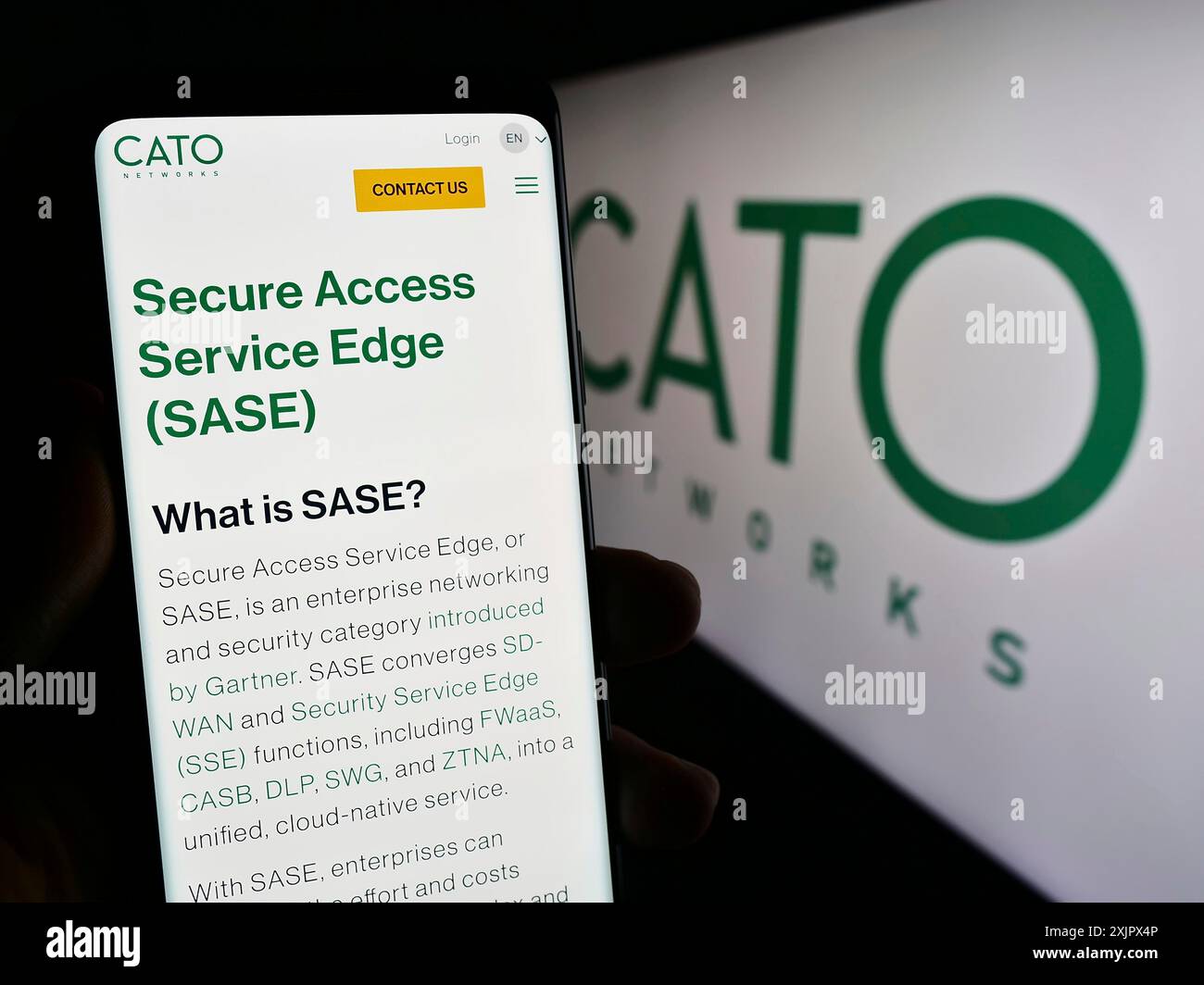 Cato logo hi-res stock photography and images - Alamy
