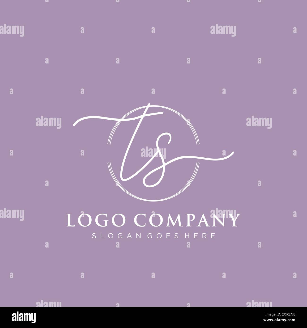 TS Initial handwriting with brush circle logo Stock Vector