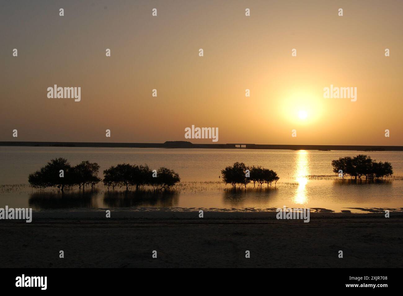 a-blazing-orange-sunset-over-mangroves-and-the-arabian-gulf-at-sir-bani-yas-island-al-gharbia-united-arab-emirates-march-2010-2XJR708.jpg