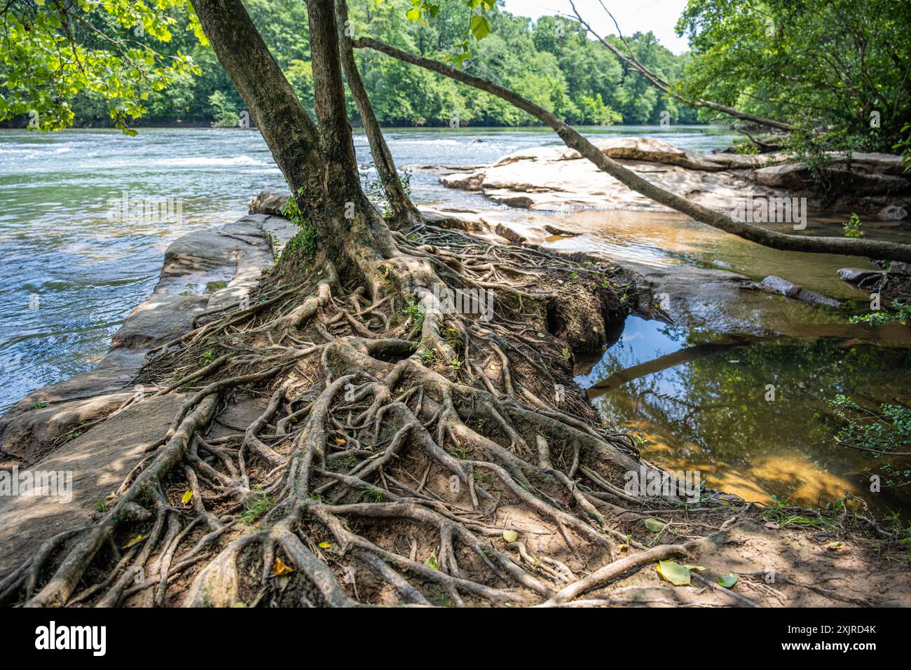 Scenic view of the Chattahoochee River along the Chattahoochee River Scenic view of the Chattahoochee River along the Chattahoochee River