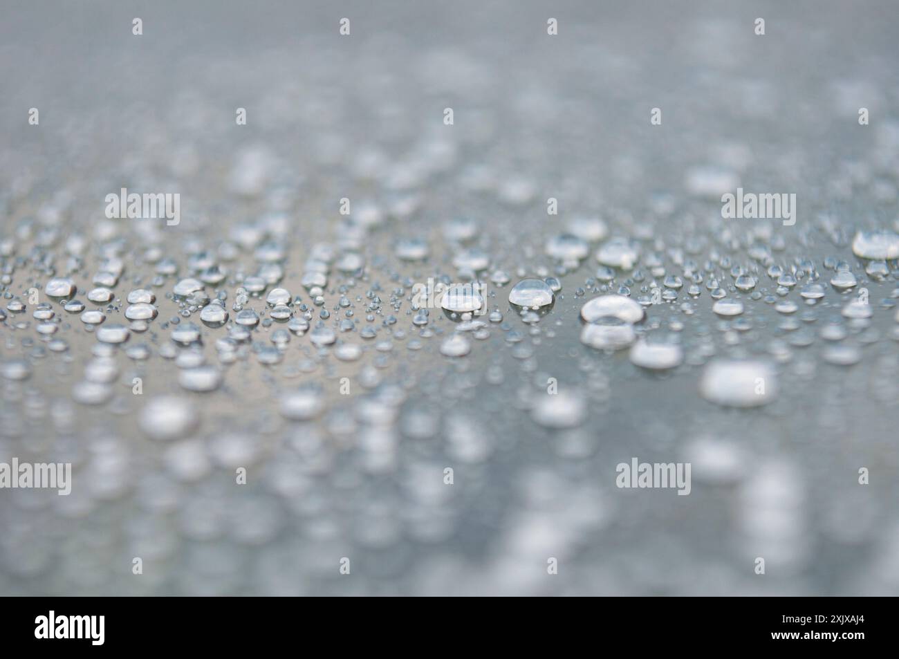Water droplets on clear dark glass background. Suitable for wallpaper deco. Stock Photo