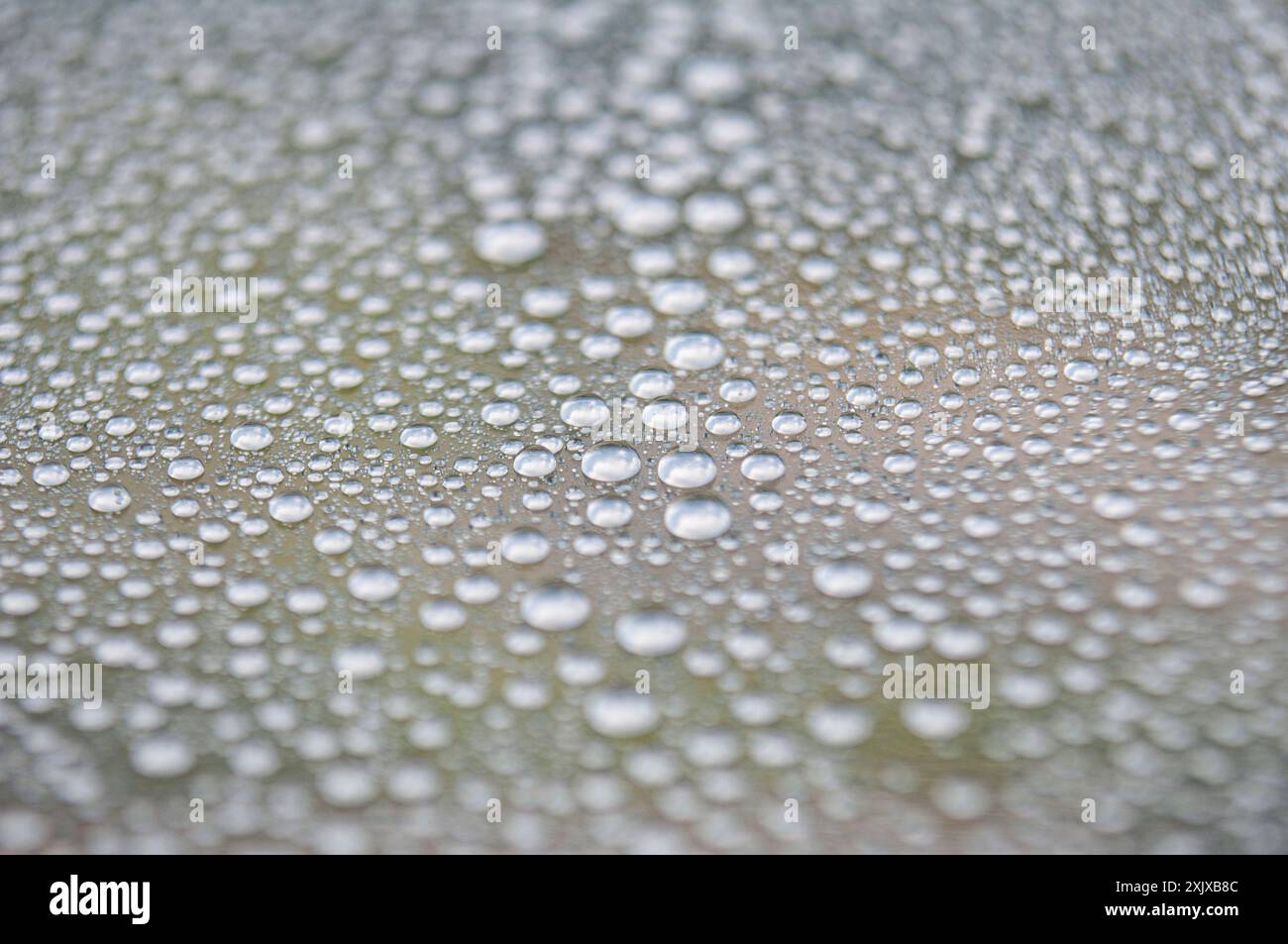 Rain water droplets with dark background. Image suitable for wallpaper or any design background. Stock Photo
