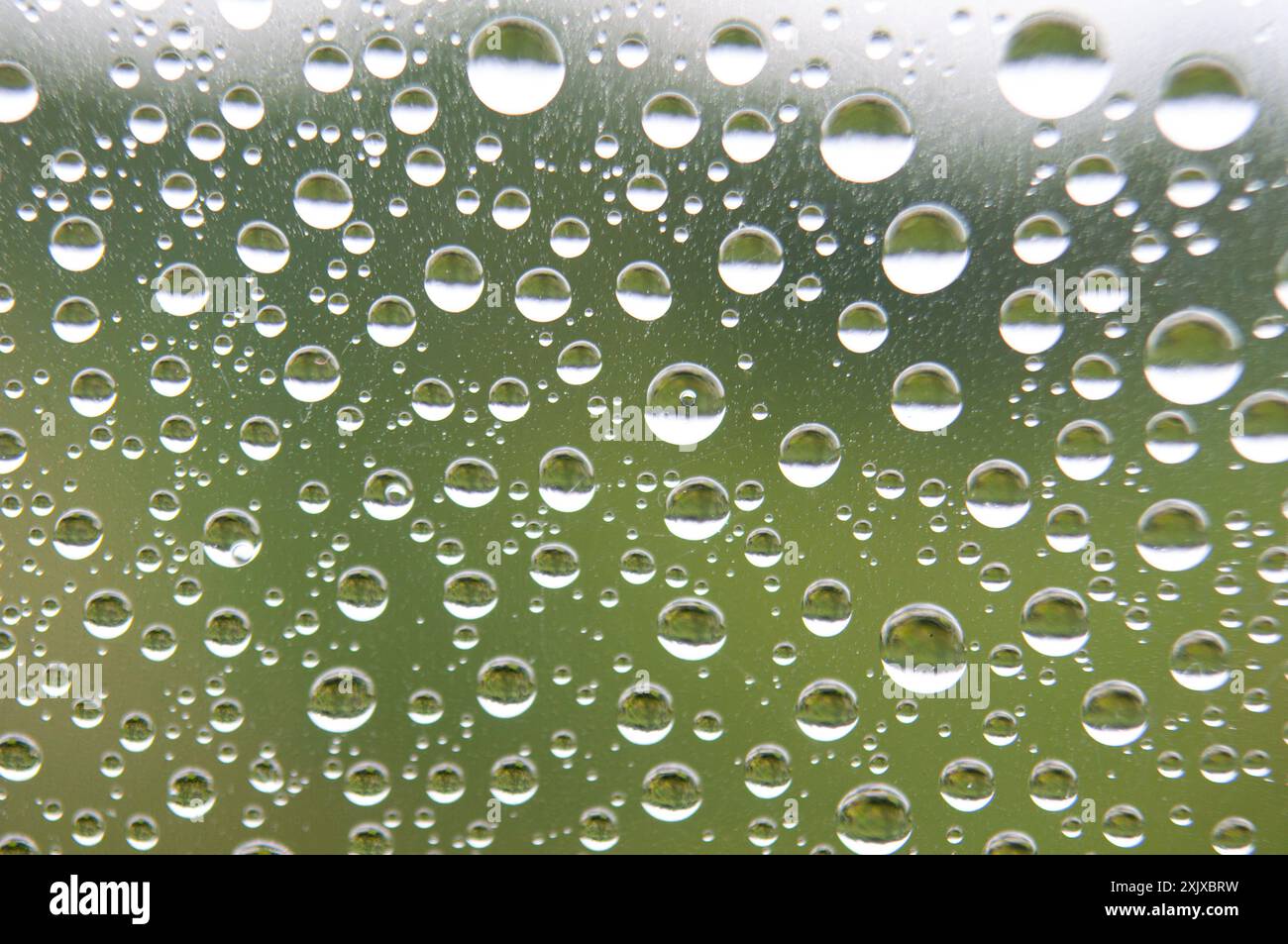 Water droplets after rainy day with dark background. Image suitable for laptop wallpaper or any design background Stock Photo
