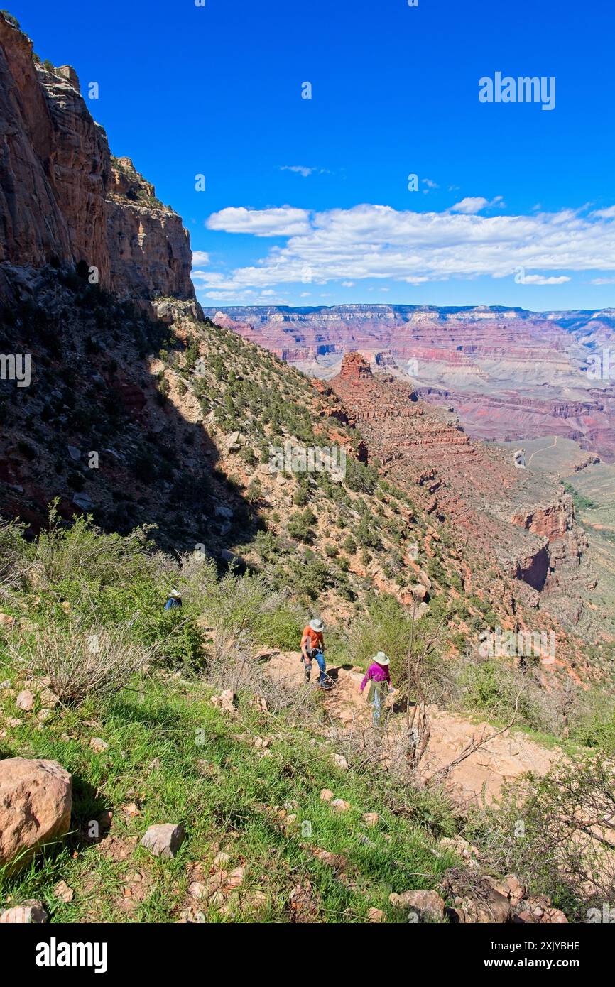 Group of hikers along Bright Angle trail of Grand Canyon Stock Photo ...
