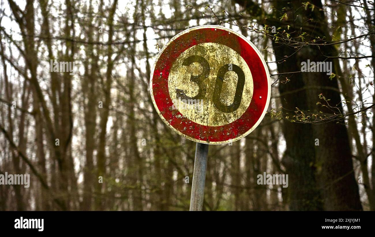 A traffic sign overgrown with moss indicating a speed limit of 30 km/h ...