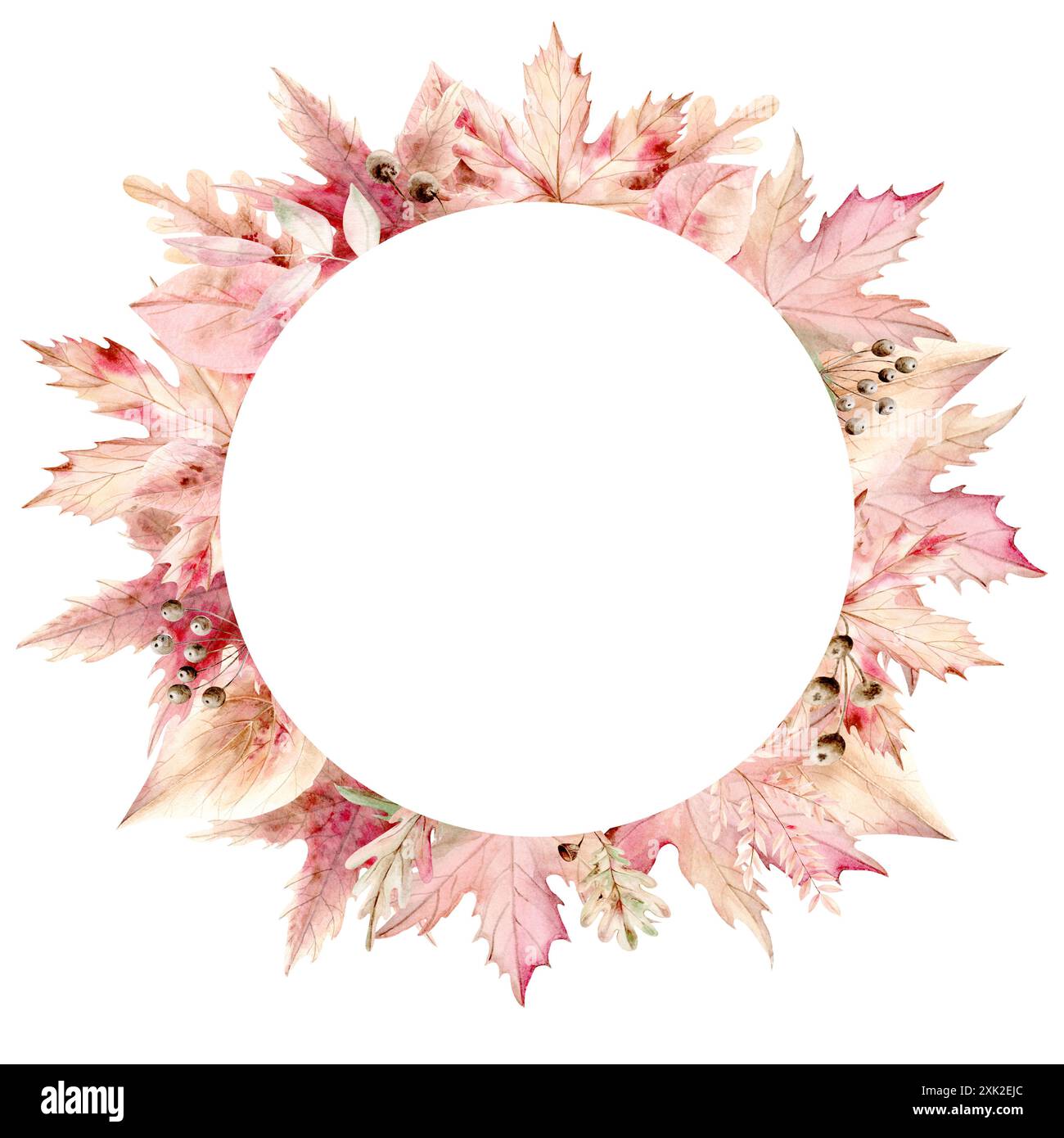 Frame round autumn leaves of maple and birch, acacia, linden and oak on ...