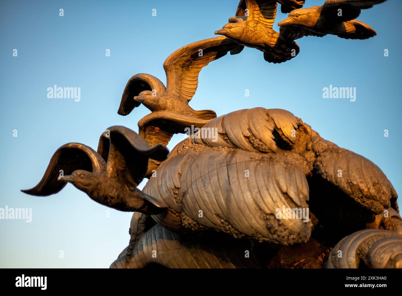Merchant Bird Maritime lady bird johnson park washington hi-res stock photography and ...