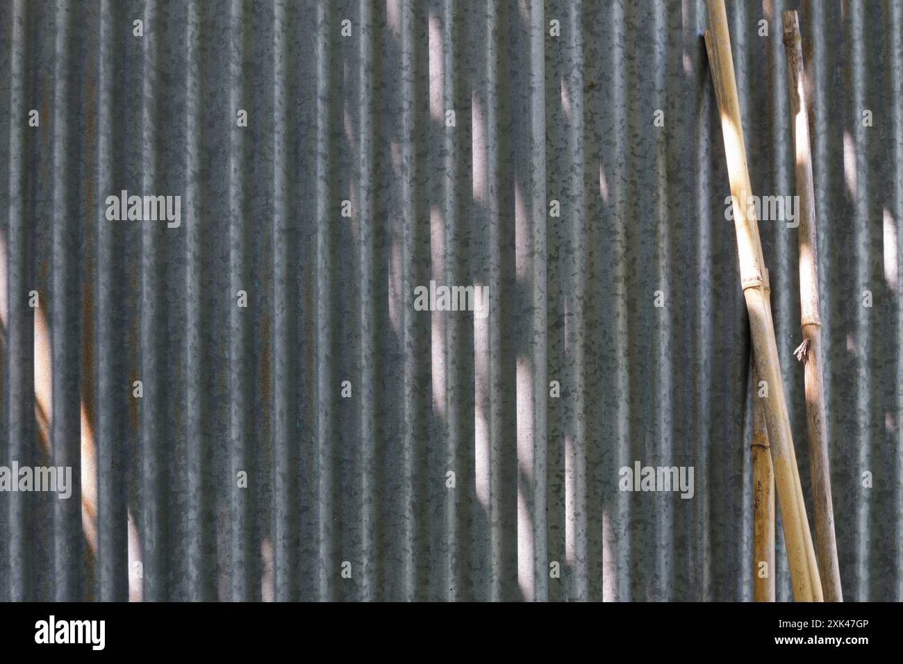 Bamboo garden canes leaning on corrugated aluminium shed wall Stock Photo
