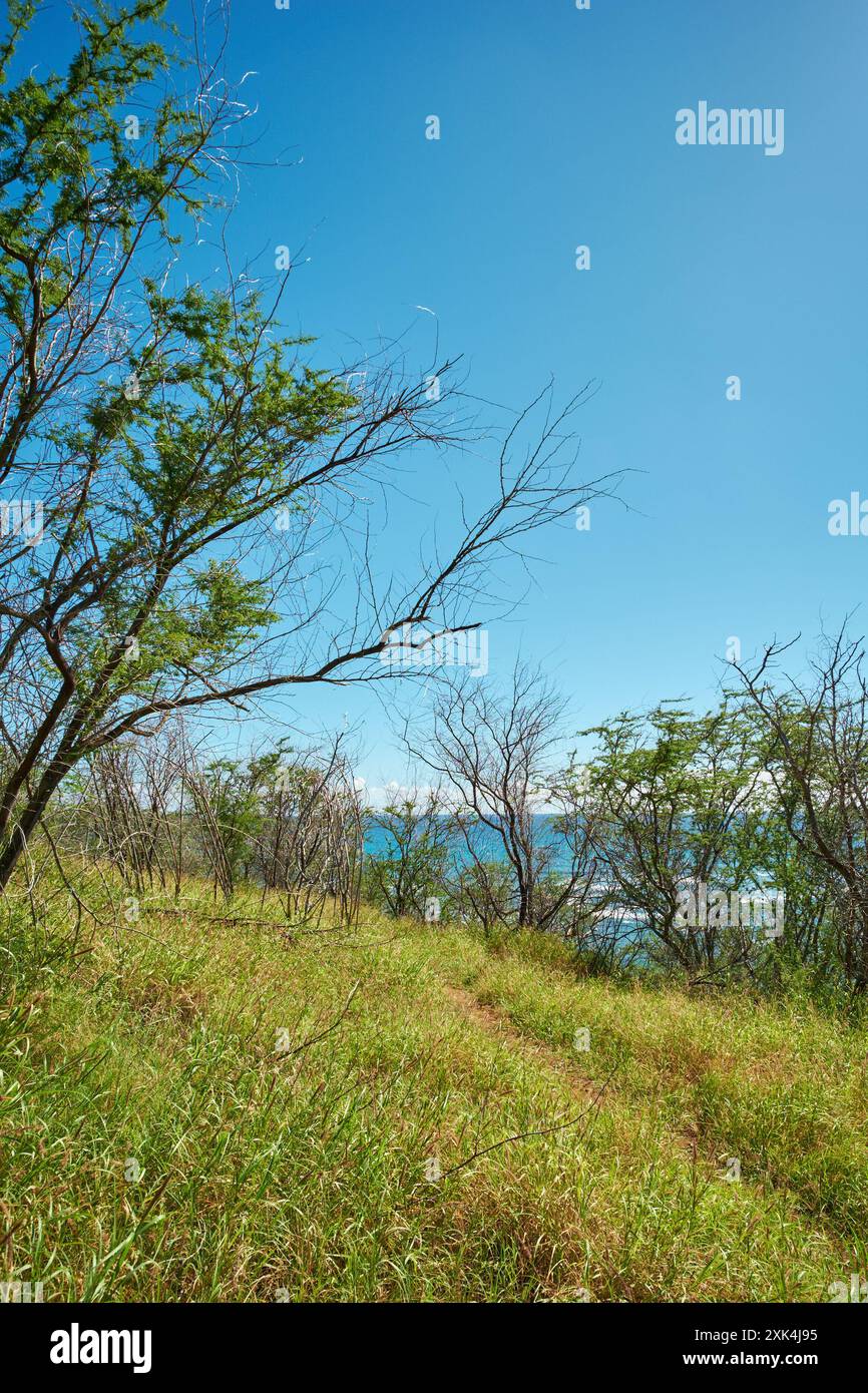 Sustainable travel hawaii hi-res stock photography and images - Alamy