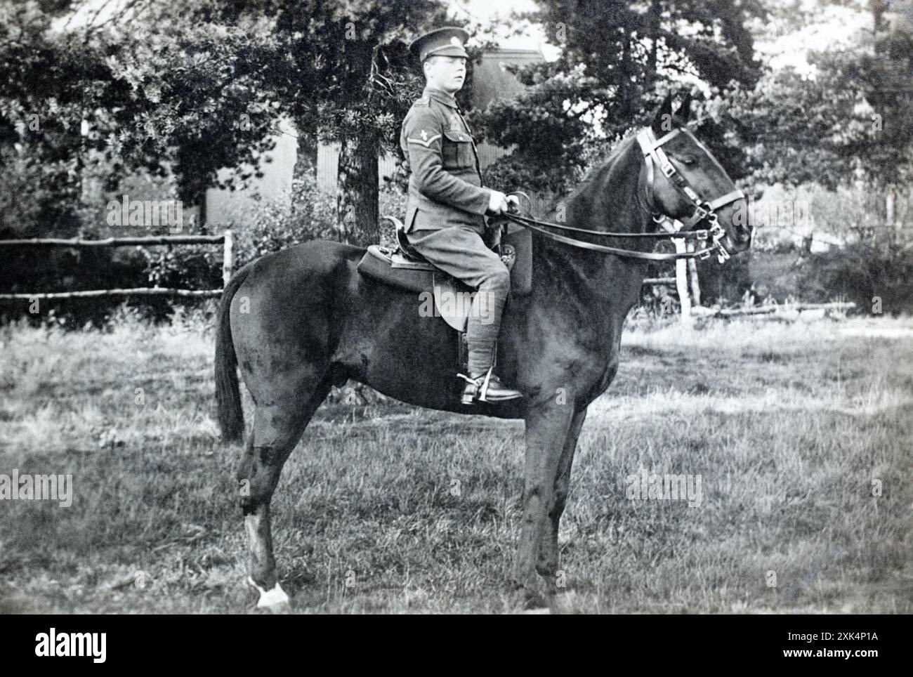 A mounted Lance Corporal of the Queen's Own Dorset Yeomanry with a Scout trade proficiency badge c. 1910s. Stock Photo