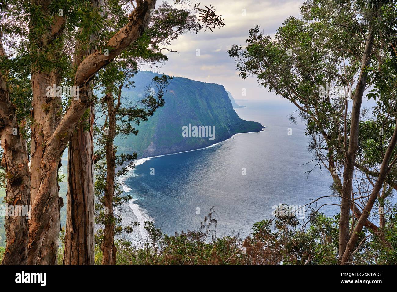 Hawaii sea wall ocean cliff hi-res stock photography and images - Alamy