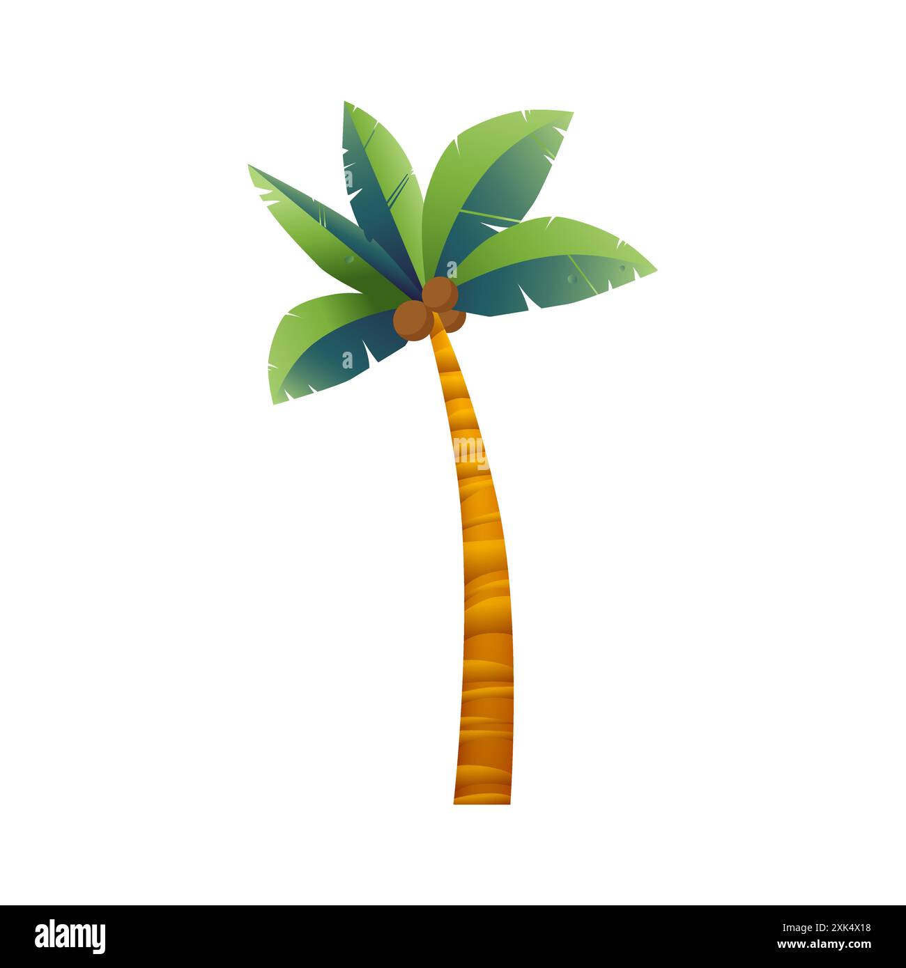 Coconut palm tree with green leaves and fruits from exotic beach vector illustration Stock Vector