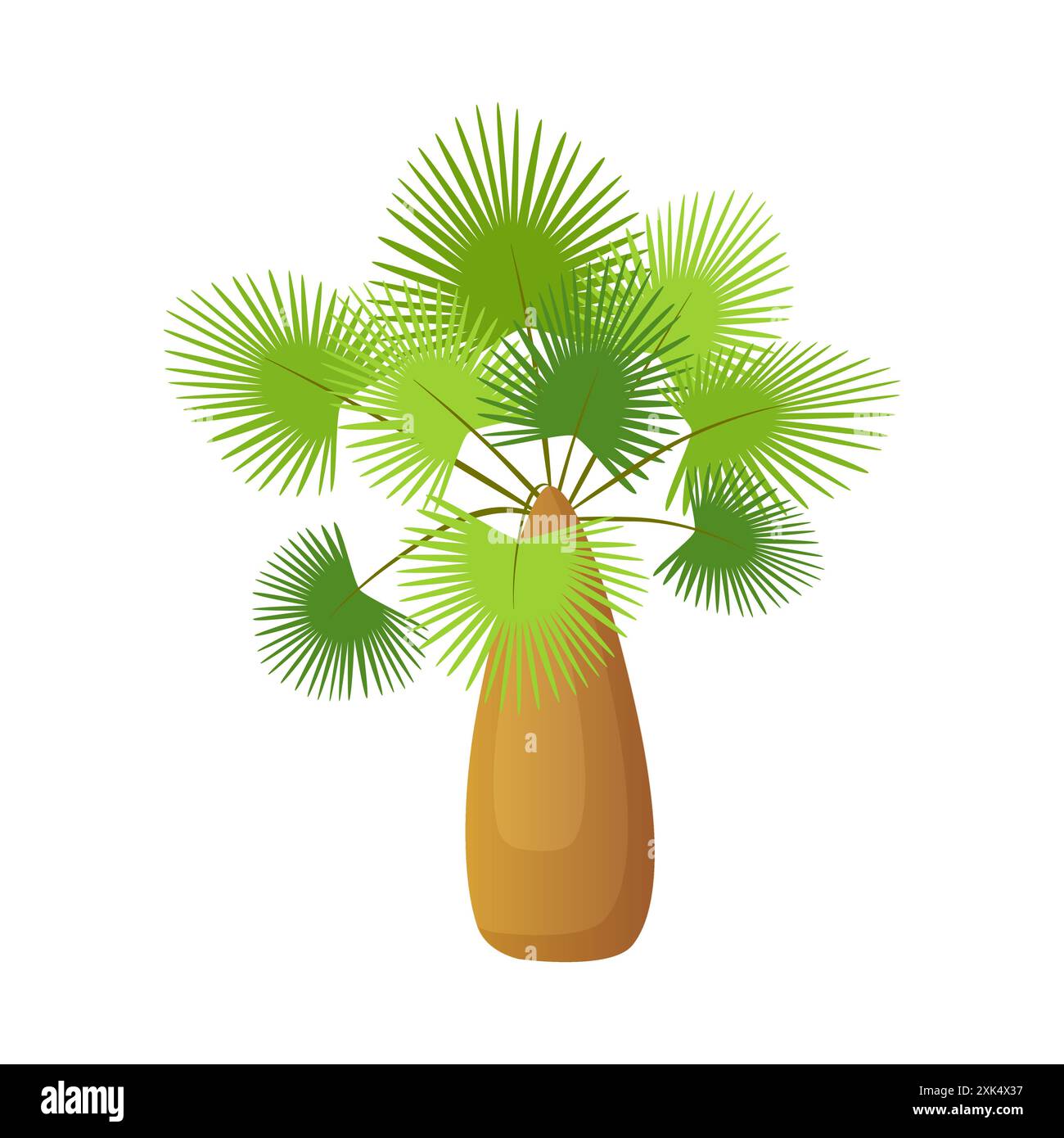 Tropical palm tree with thick trunk of barrel shape and green leaves on branches vector illustration Stock Vector