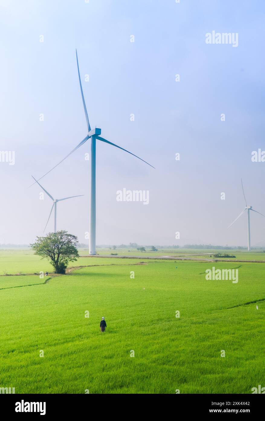 Windmill Rice Long Rice view of turbine green energy electricity, windmill for electric power ...
