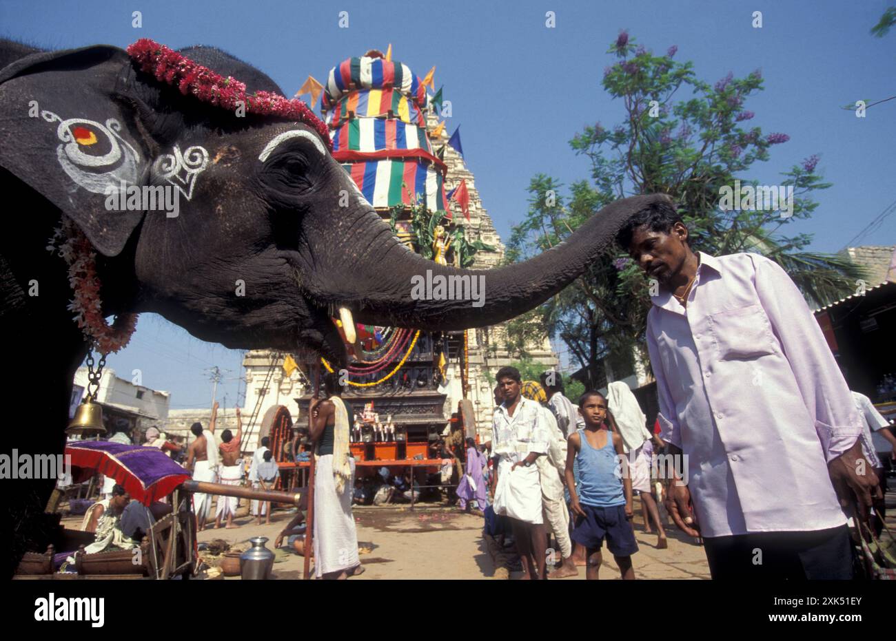 Elephant Welcome Ritual a elephant at a ceremony at the Holi Hindu Temple Festival at the ...