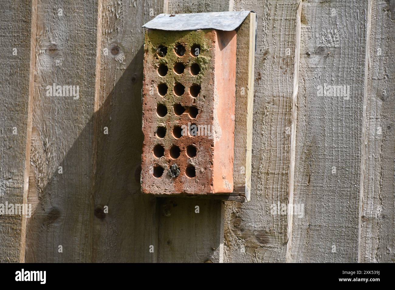 A house brick with a multitude of holes attached to a wooden fence to form a home for bees and other insects. Frome , Somerset, UK Stock Photo
