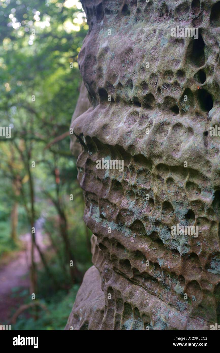 Fall Rocks Up Close Weathered sandstone rock close up Stock Photo - Alamy