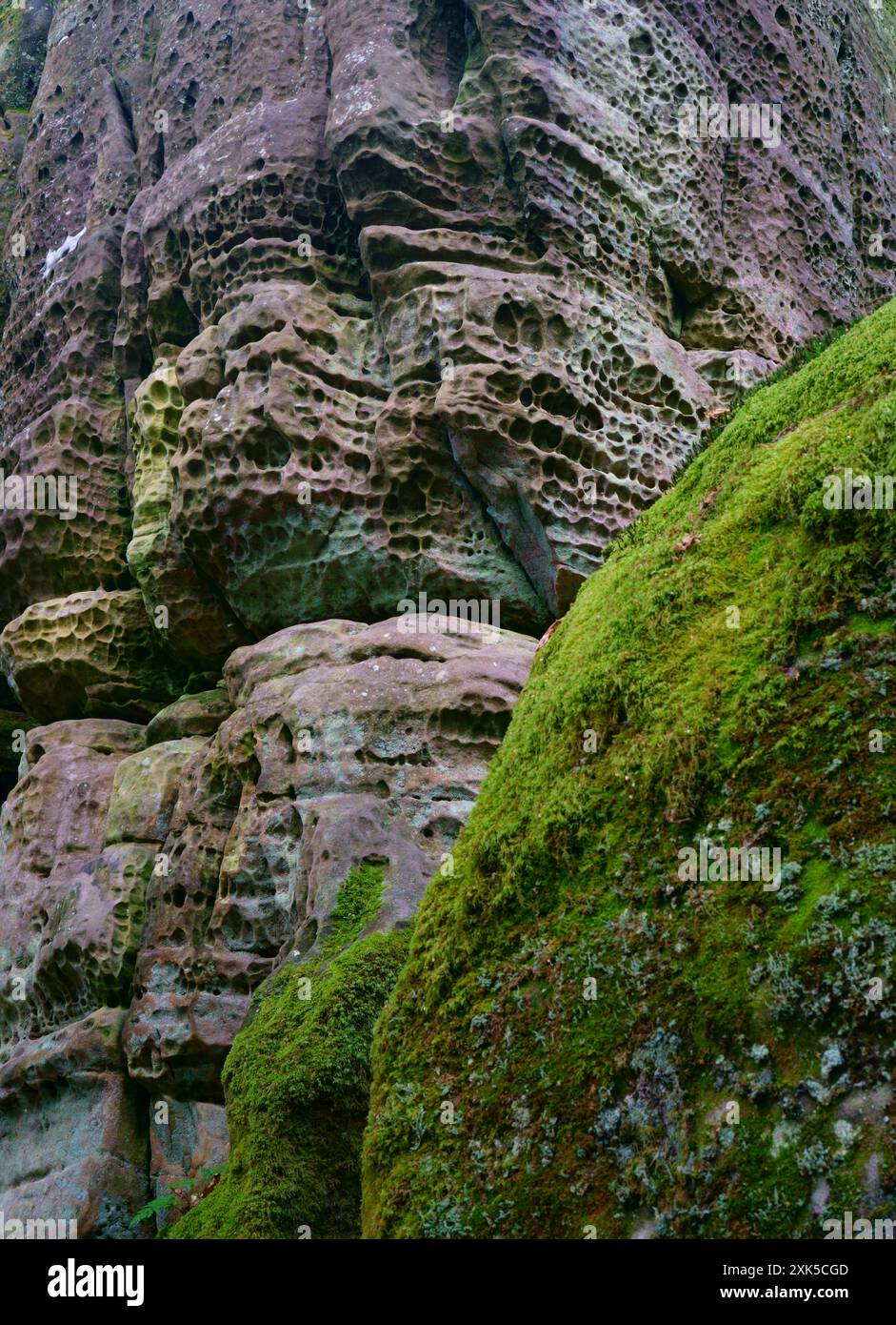 Eridge hi-res stock photography and images - Alamy