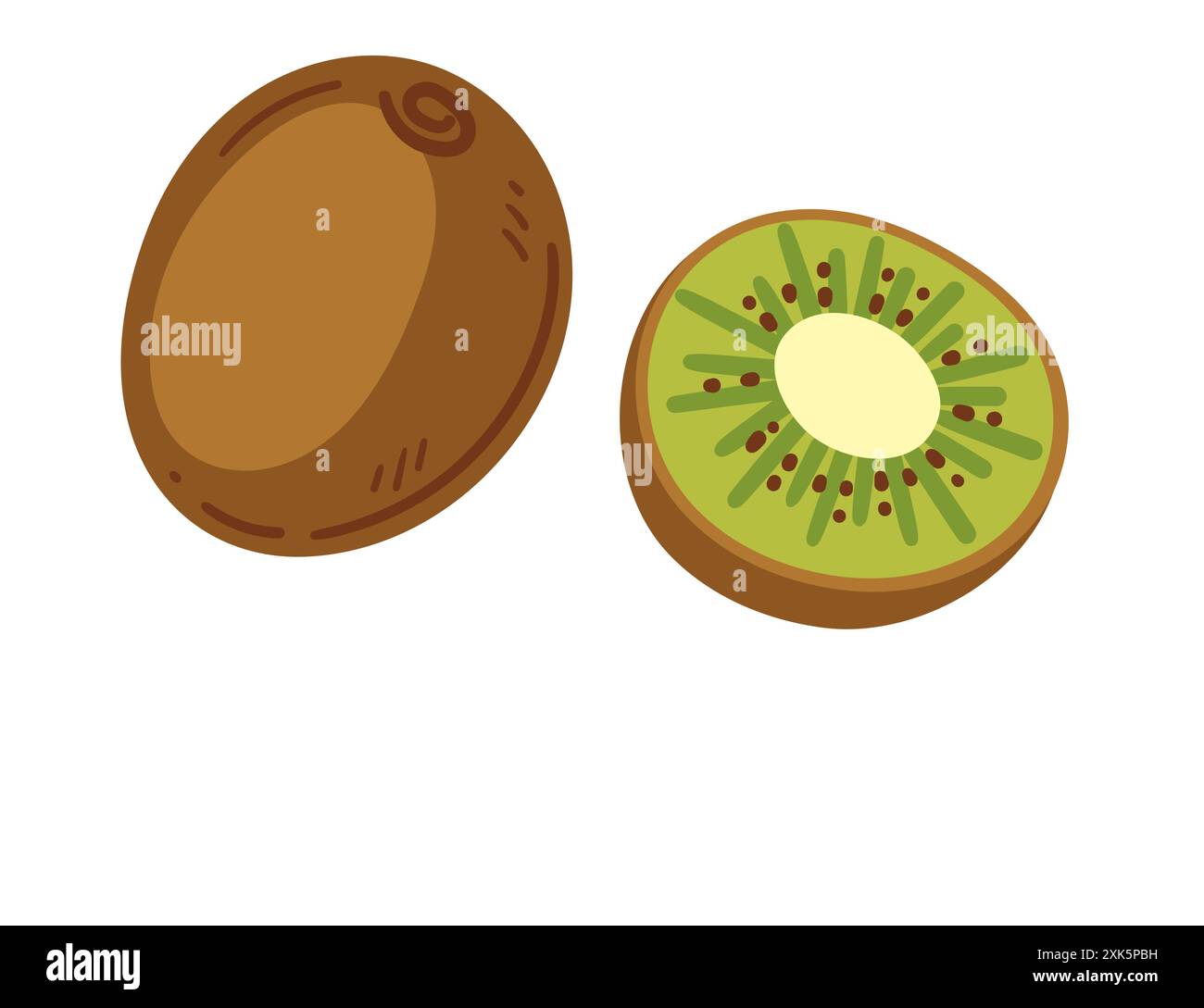 Whole and halved kiwi. Green tropical fruit with fuzzy skin and seeds